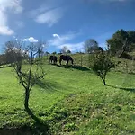 La Antigua Cuadra Es Un De Piedra Y Altos Techos De Madera Con Mucho Encanto, Jardin Privado Con Barbacoa Y Acceso Al Rio Ason شقة