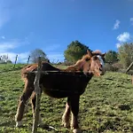La Antigua Cuadra Es Un De Piedra Y Altos Techos De Madera Con Mucho Encanto, Jardin Privado Con Barbacoa Y Acceso Al Rio Ason * راماليس دي لا فيكتوريا