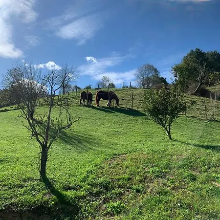 La Antigua Cuadra Es Un De Piedra Y Altos Techos De Madera Con Mucho Encanto, Jardin Privado Con Barbacoa Y Acceso Al Rio Ason Apartmán