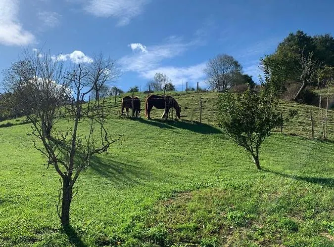 La Antigua Cuadra: Rustic Stone With Garden And River Access Apartment